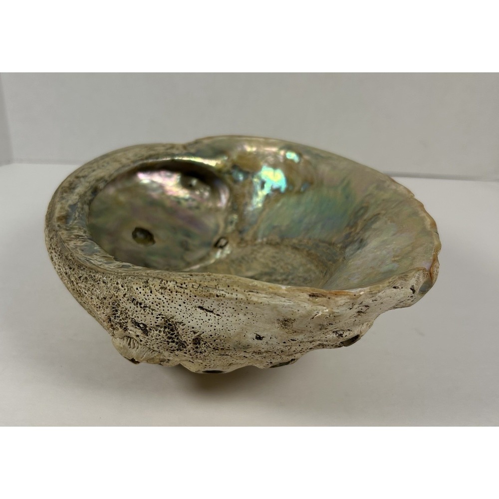 Vintage Natural Abalone Shell Footed Soap Dish Trinket Dish 8" iridescent